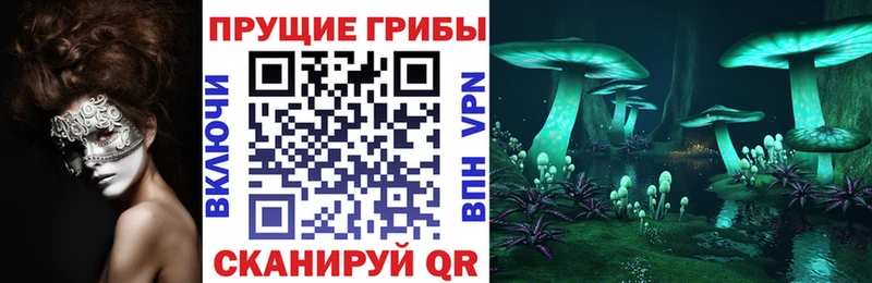 купить  цена  Агрыз  Псилоцибиновые грибы MAGIC MUSHROOMS 